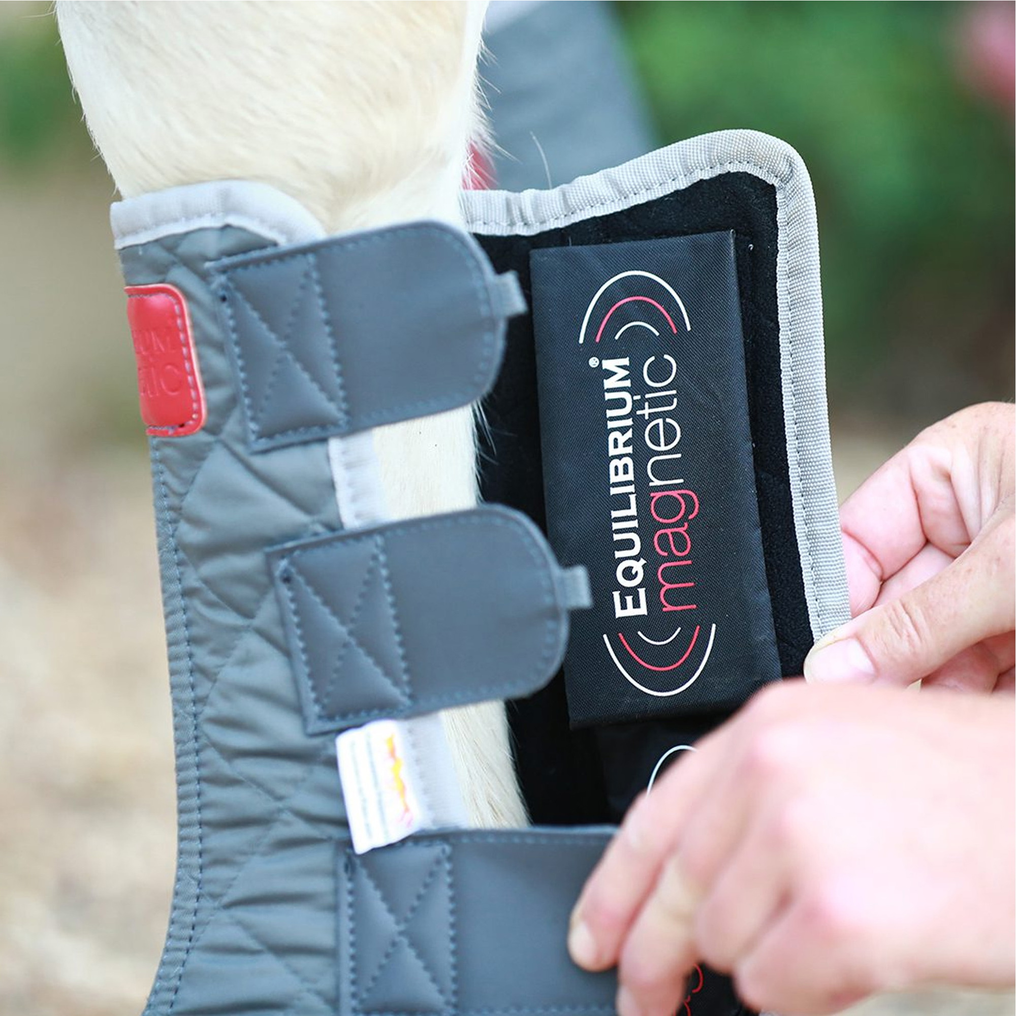 Equilibrium Magnetic Chaps  - Grey